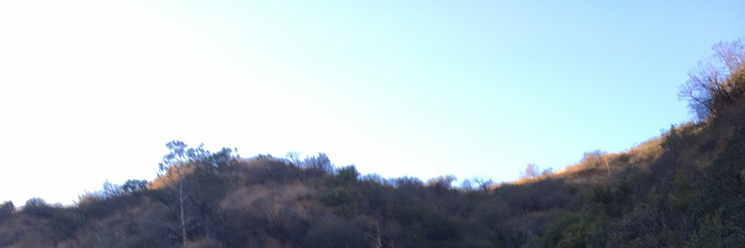 Future Elizabeth banner