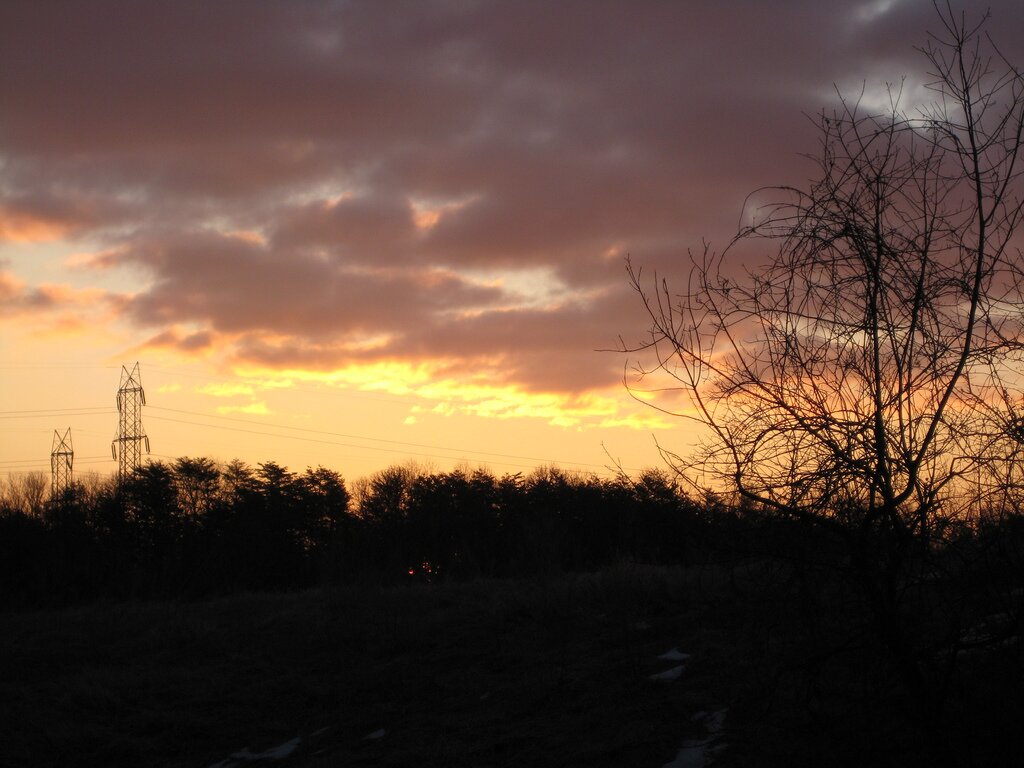 Alex Moundalexis 🔥 banner