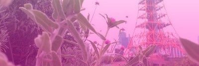 OsamuRc's profile banner image