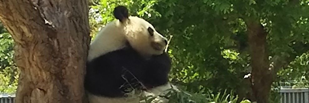 macin36's profile banner image