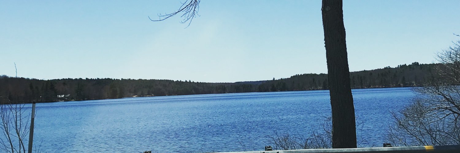 hodgkich's profile banner image