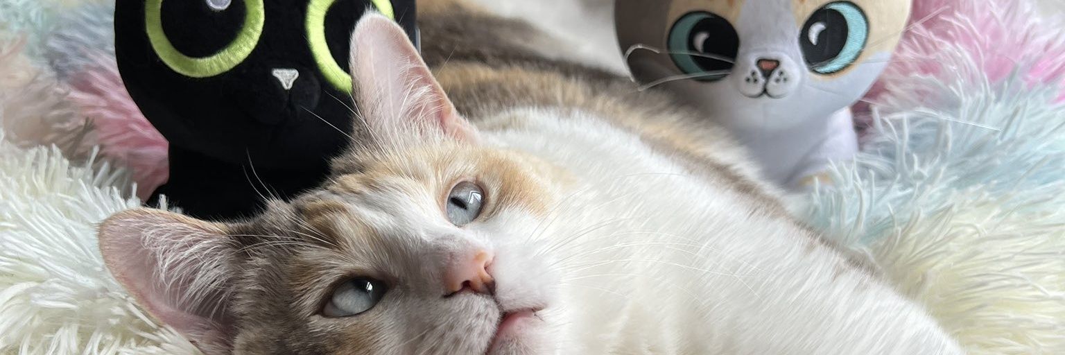 nsvragreen's profile banner image