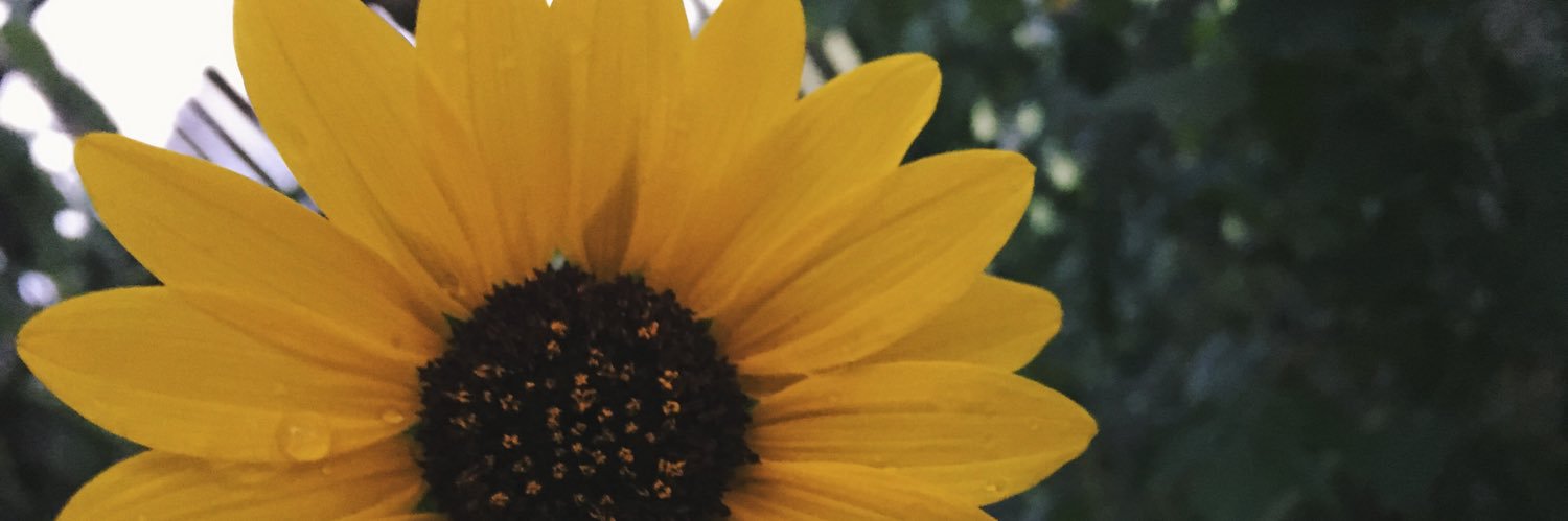 s_becon's profile banner image