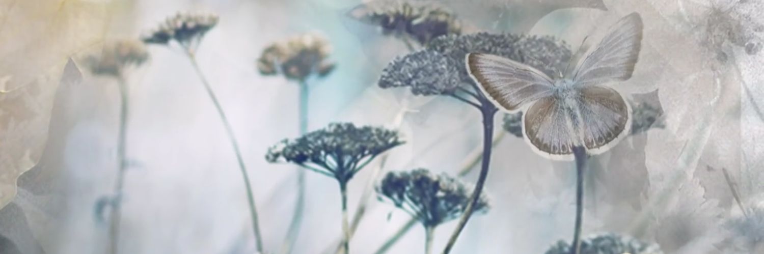 JKarzas's profile banner image