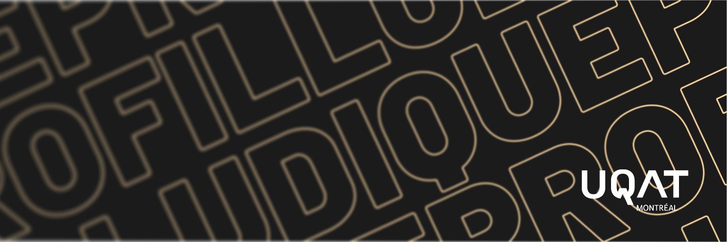 Profil Ludique banner