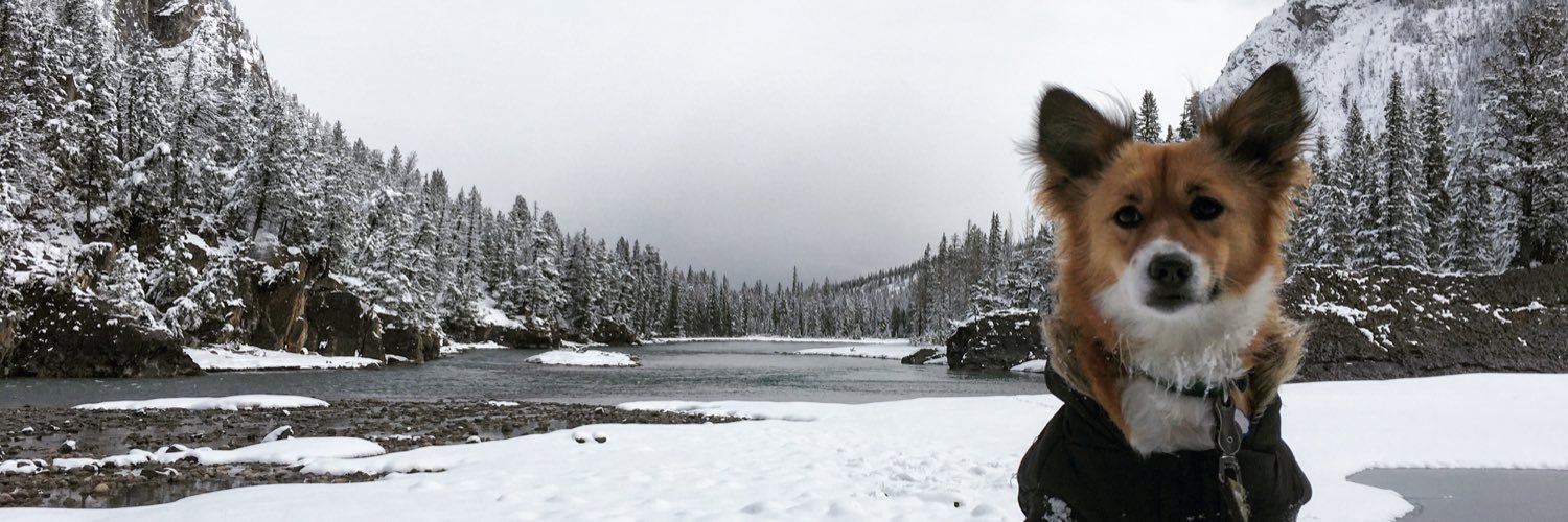 Jaynesoltys's profile banner image