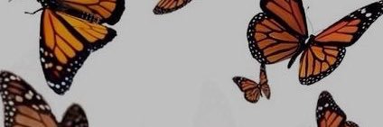 JuliHalaby's profile banner image