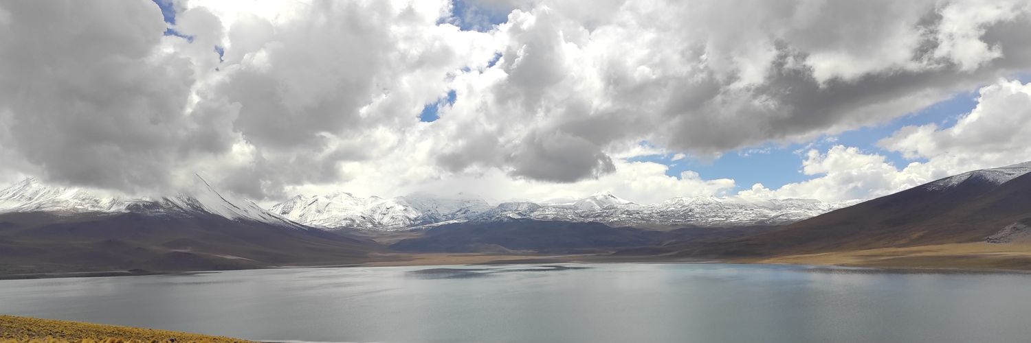 Máximo Quiero Bastías banner