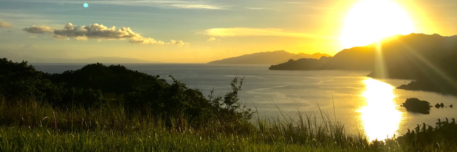 minjeesayao's profile banner image