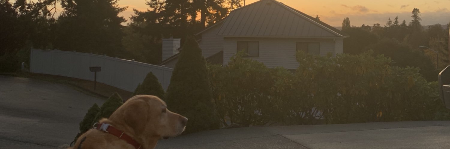 CarolinCam's profile banner image