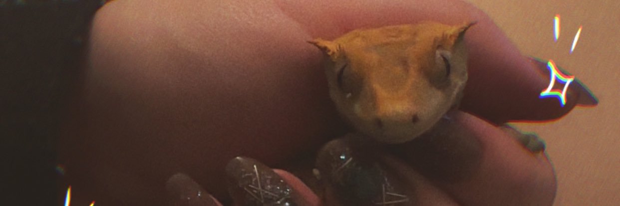 ✨Moon Goddess✨ banner