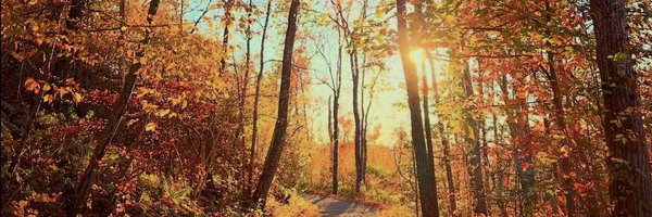 iramnasreen Profile Banner