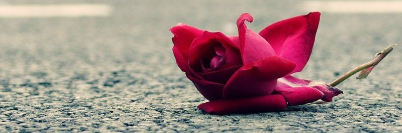 sanjay_boora's profile banner image