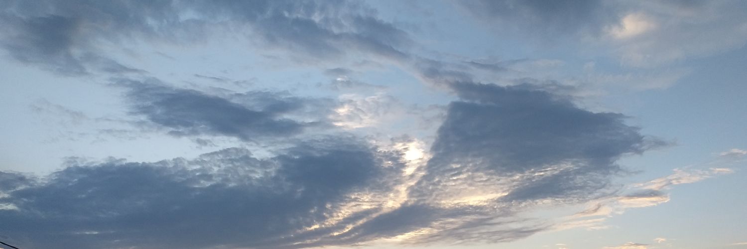 anajane19's profile banner image