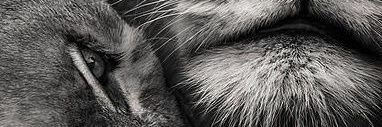 Purple7Bubble's profile banner image