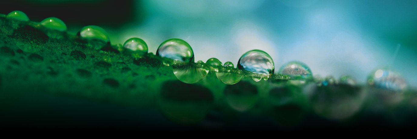 Grünenthal Health banner