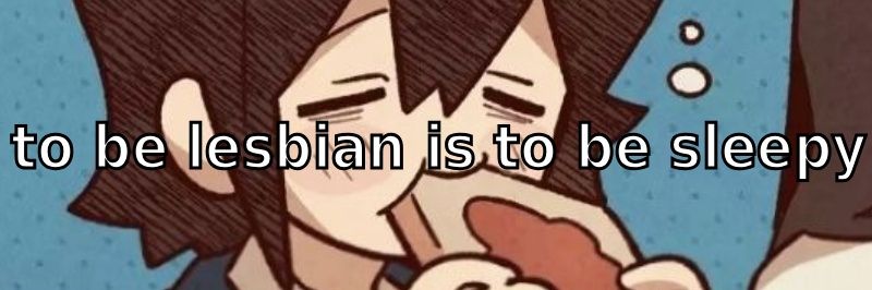 np2hu's profile banner image