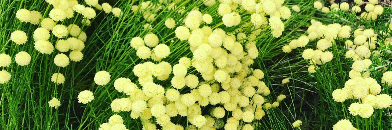 Alondra Nelson banner