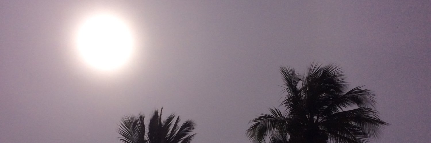 nobyel's profile banner image