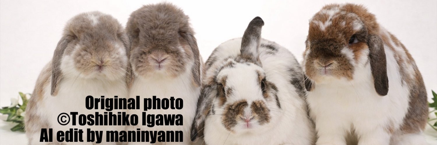 まにゃん👻3匹のうさぎ達 banner