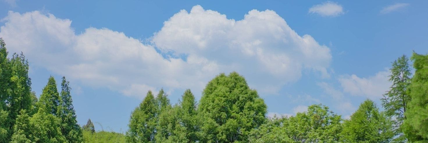 NAMU_OI's profile banner image