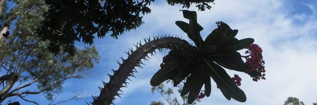 NaanGuzman's profile banner image