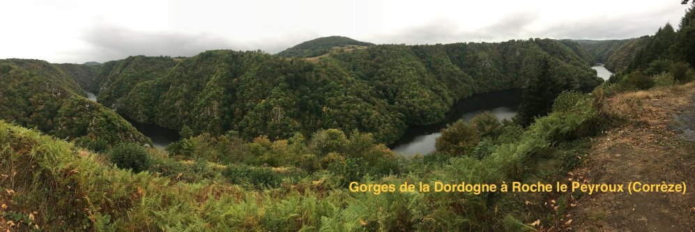 🅿️ierre 🅼🅰🆃🅷🅸🅴🆄 banner