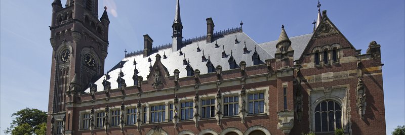 Peace Palace Library banner