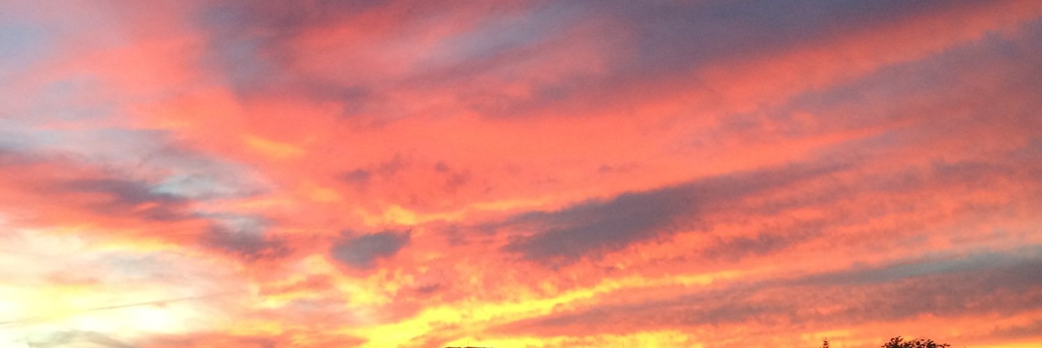 ash_micash's profile banner image