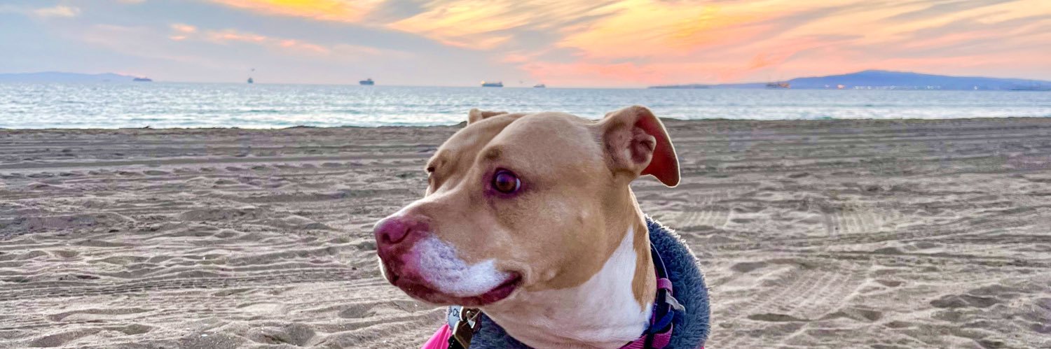 SauciCyn's profile banner image