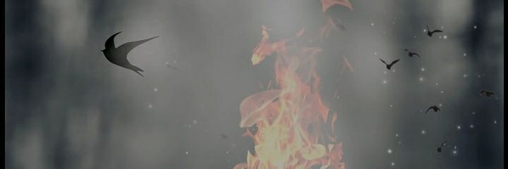 hugodalex's profile banner image