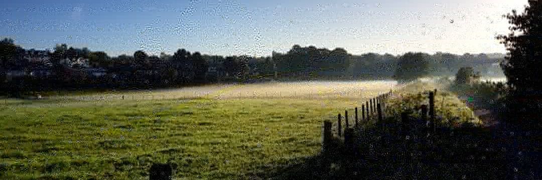 Alisa Spiegel banner