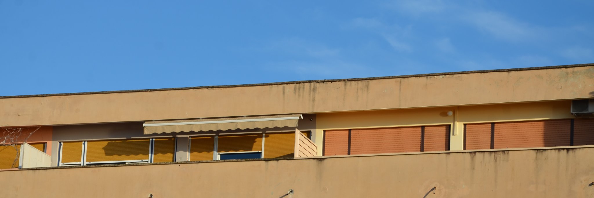 Aleksandra Hiltmann banner