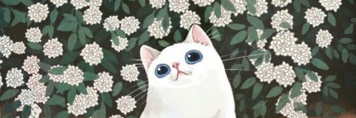 MorningLucia's profile banner image