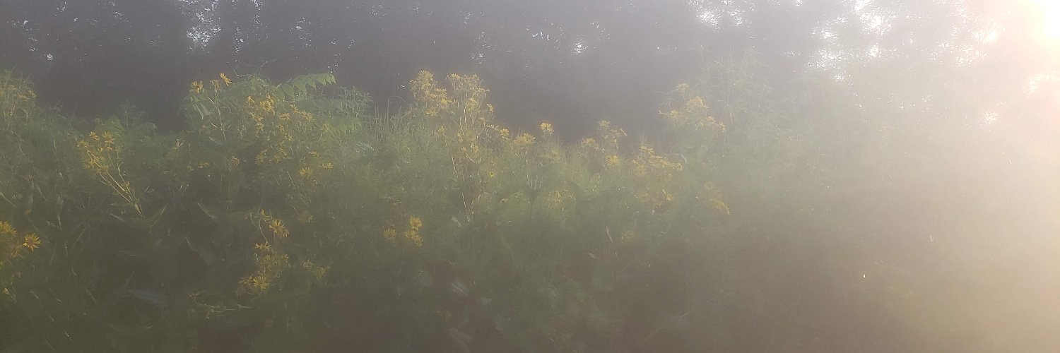 Thomaie Hilaris Neris banner