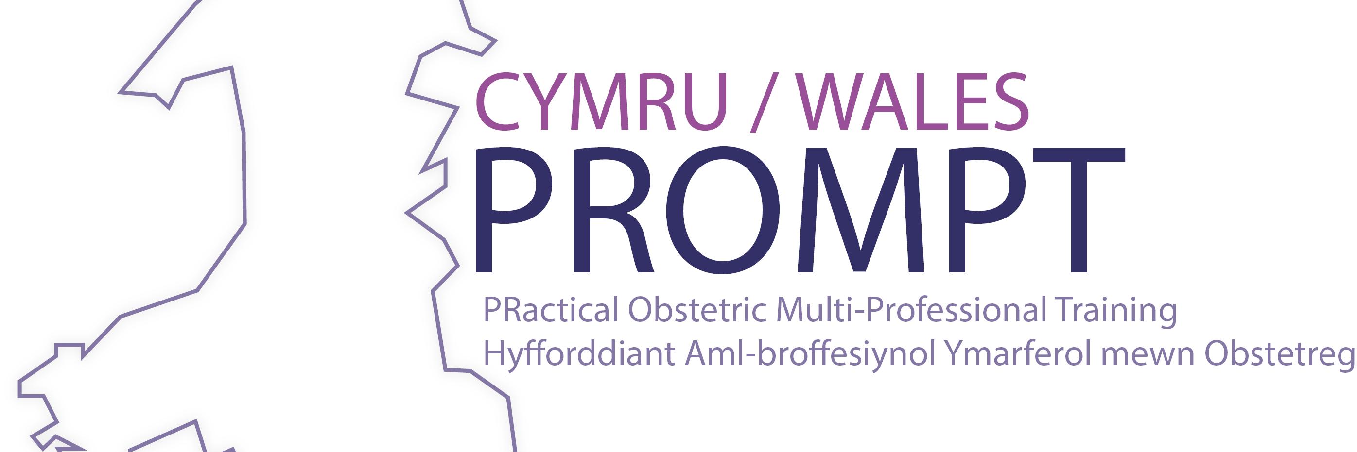 PROMPT Wales banner