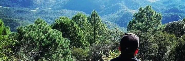 arannda's profile banner image