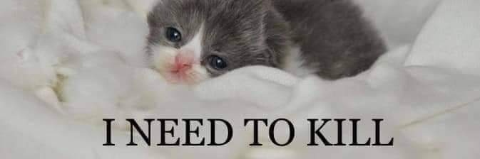 The SlavSquat Queen banner