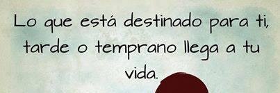 Marcia Gil banner