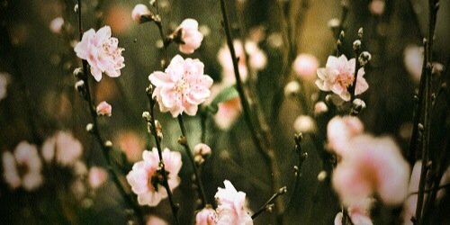 sarahball12's profile banner image