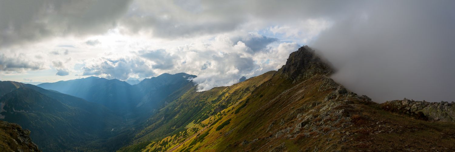 Christian Schepers banner