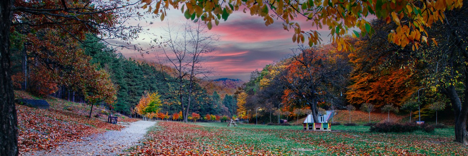 Vegim Rashiti banner