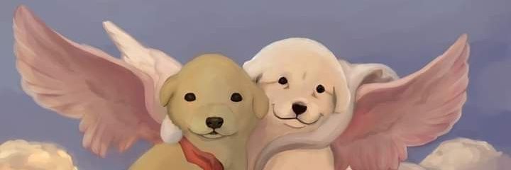bellatrixvera's profile banner image