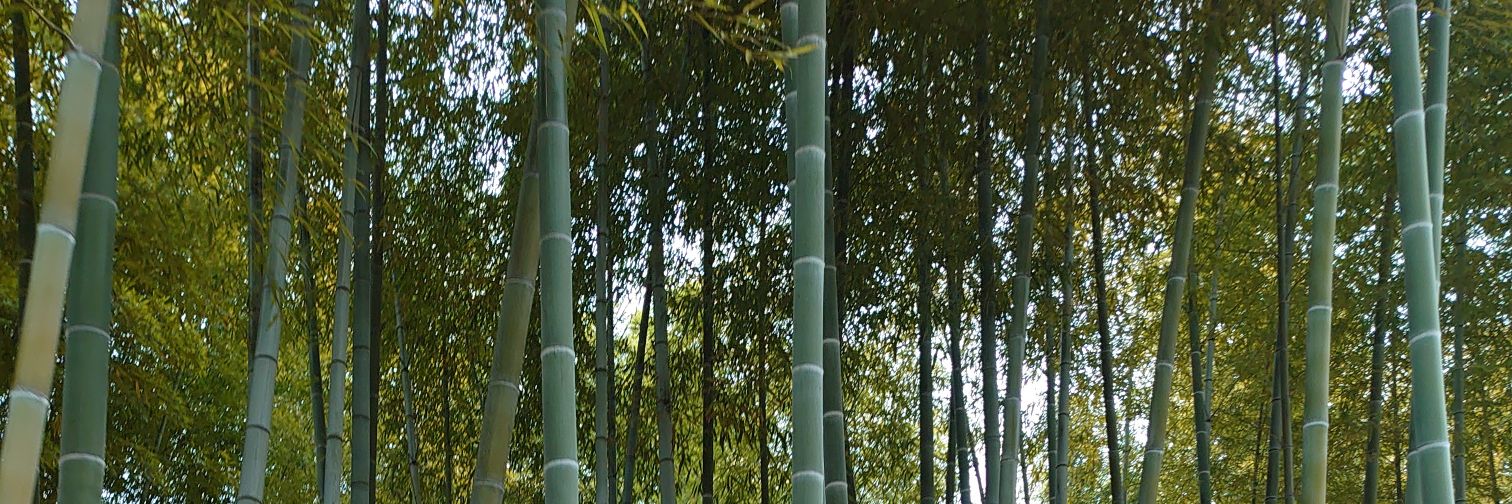 Toshi YAJIMA banner