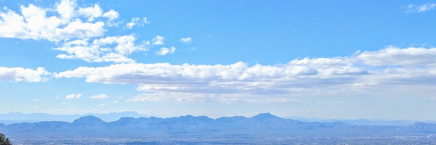 Rebecca G. Reed banner