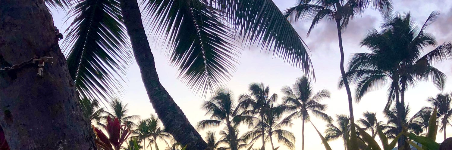 brooklynkurtz's profile banner image