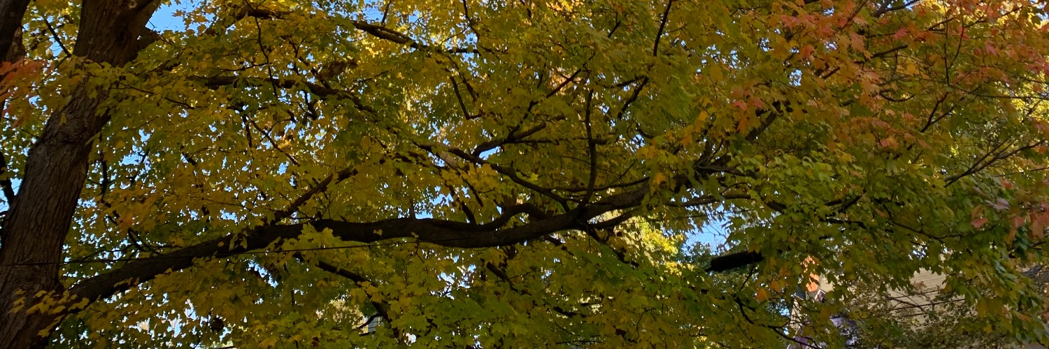 katie❕katiefurman.bsky.social banner