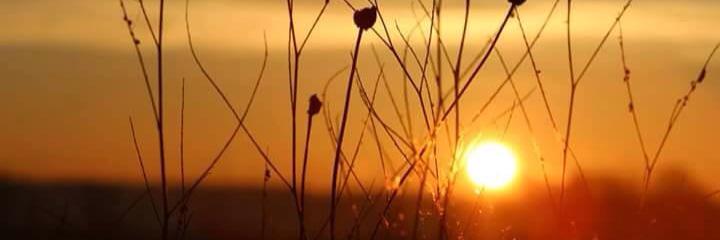 xopaige19's profile banner image