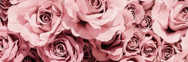 AgosMotta's profile banner image