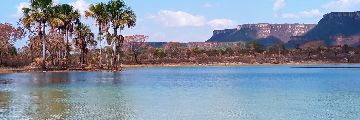 Julio Palhares banner